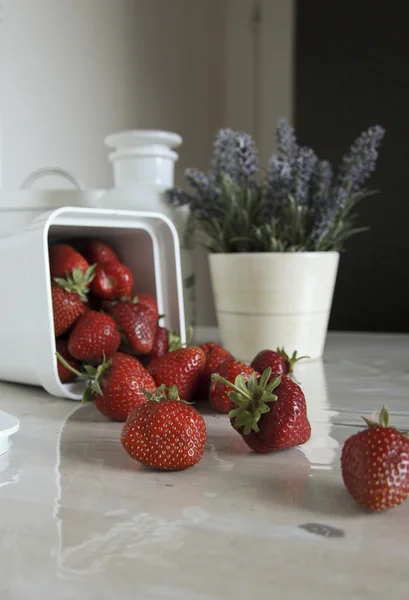 Stilleben med jordgubbar och blommor — Stockfoto