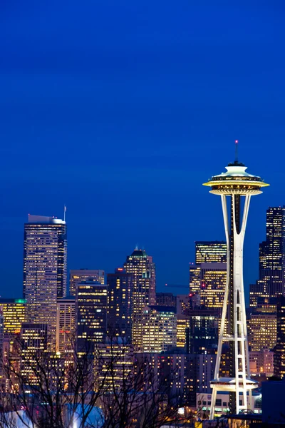 Space Needle i Seattle Washington - Stock-foto