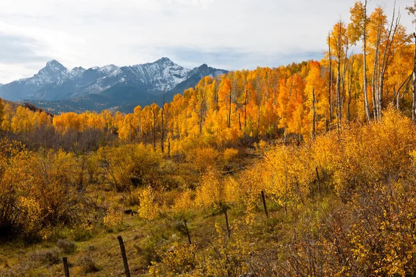 Schroffe Colorado-Berge im Herbst — Stockfoto