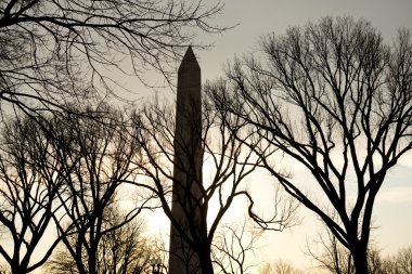 washington Anıtı silüeti
