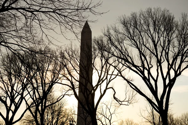 washington Anıtı silüeti