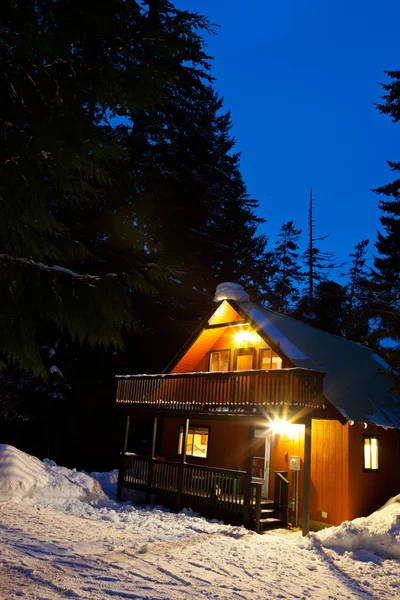 gece karanlığında ormanda kabin