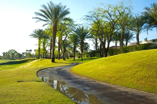 Golf Course in California — Stock Photo, Image