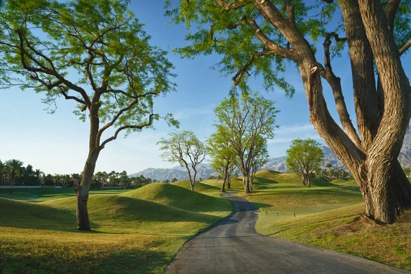 Golfplatz in Kalifornien Stockbild