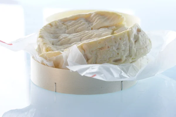 Vista de quesos Imagen de stock