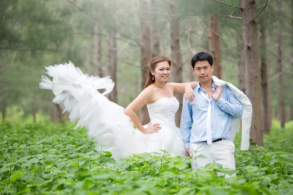 Asian couple with pre wedding — Stock Photo, Image