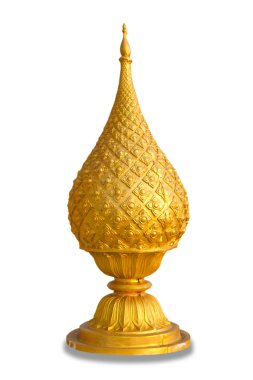 Phan phan, çalılar ve çalılar, beyaz blackground üzerinde