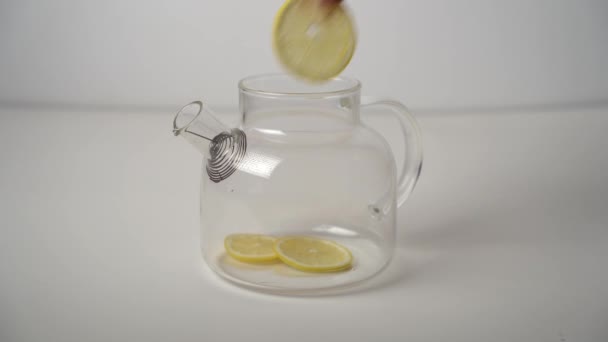 女性の手でレモンとオレンジのスライス ミントの葉と黒茶をガラスの透明なティーポットに追加します 淹れ方 — ストック動画