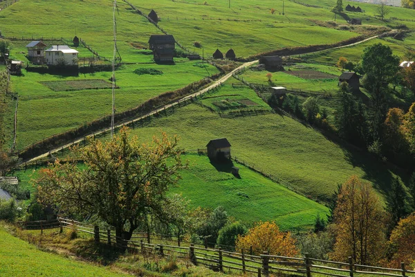 Grön äng i byn — Stockfoto