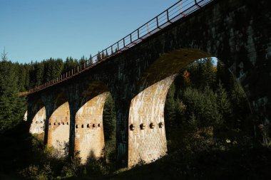 Ormandaki eski taş viyadük
