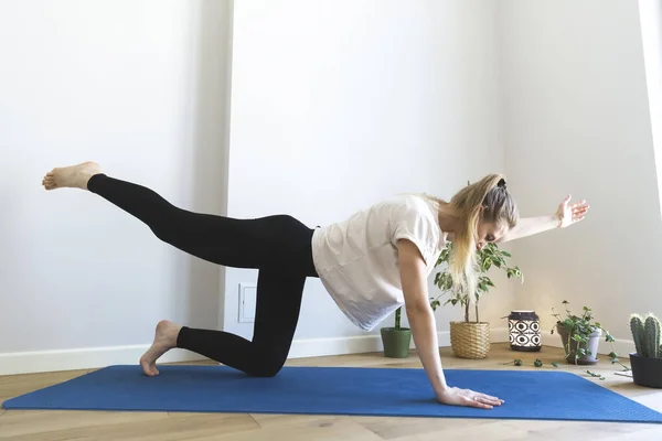 Woman is doing pilates Royalty Free Stock Images