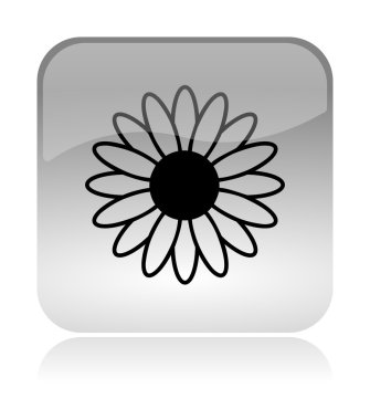 Flower Spring Icon clipart