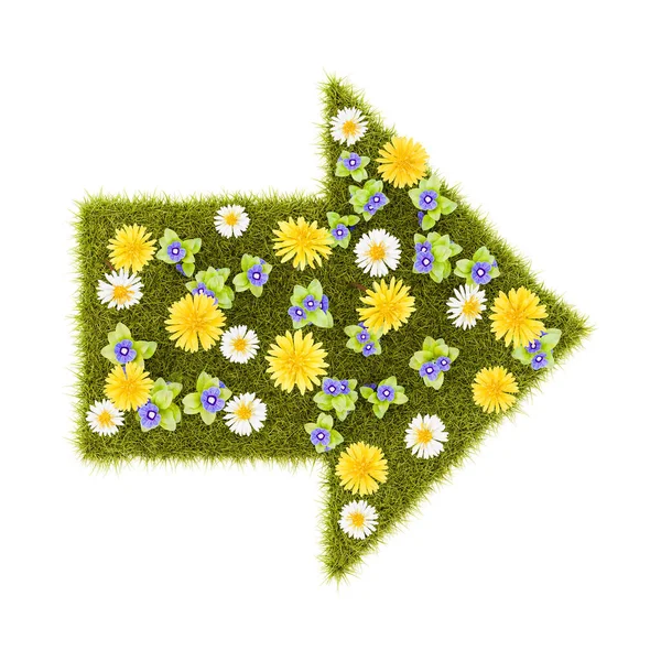 Kwiat Trawy Prawej Strzałki Symbol Kształt Izolowany Białym Tle Ilustracja — Zdjęcie stockowe