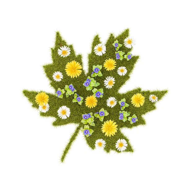 Flowery Grassy Leaf Shape Isolated White Background Render Illustration — Φωτογραφία Αρχείου