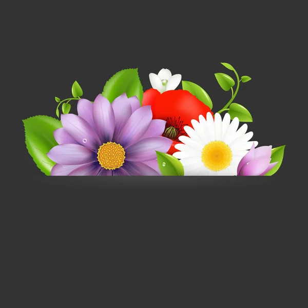 Flores de verano con divisor — Vector de stock