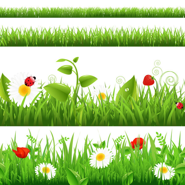 Grass Backgrounds Set With Flowers And Ladybug