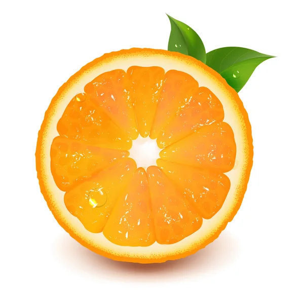 Половина апельсина з листям і краплями води — стоковий вектор