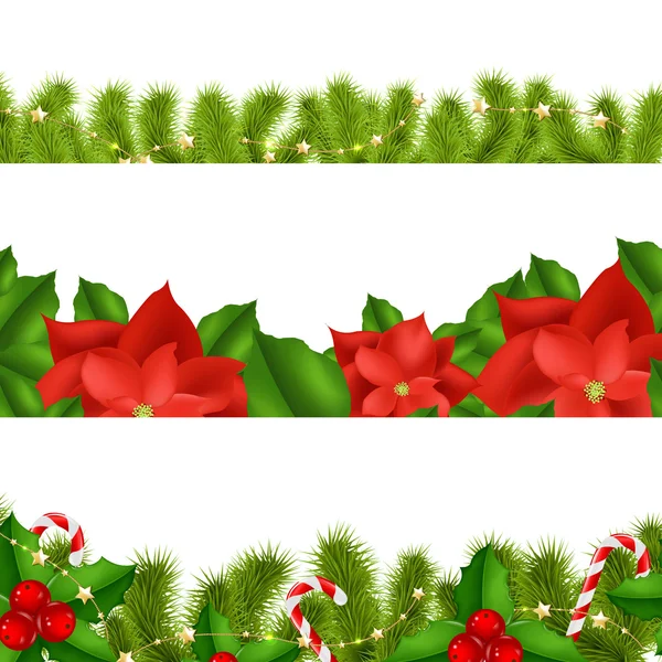 çam ağacı dalları holly berry ile komşudur