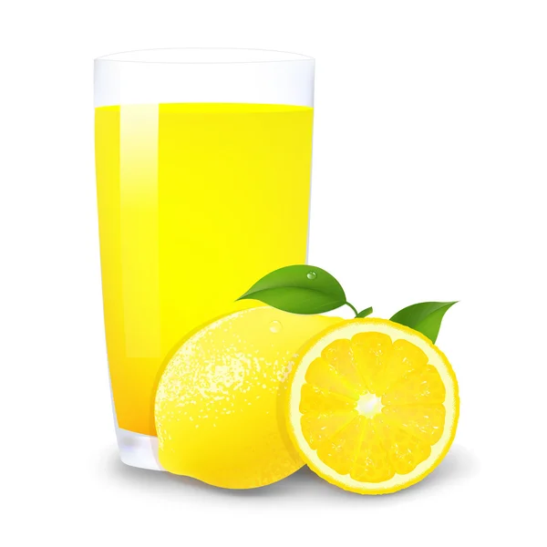 Lemon Juice And Slices Of Orange — Stock Vector