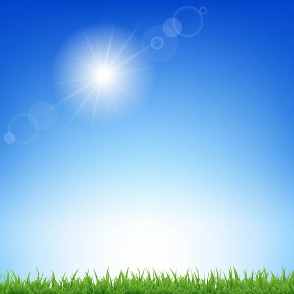 Sunburst en gras — Stockvector