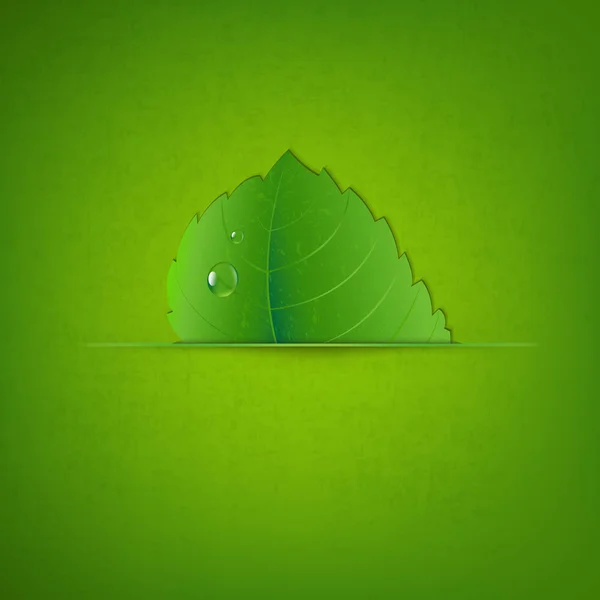 緑の葉と緑のテクスチャ — ストックベクタ