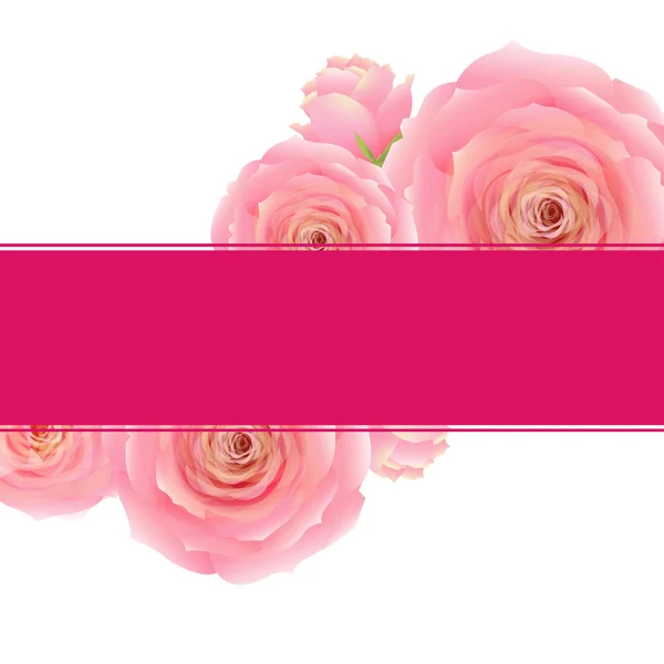 Banner rosa rosa — Vetor de Stock