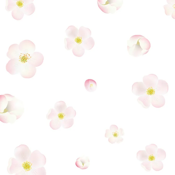 Appelboom bloemen — Stockvector