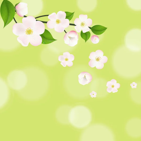 Flores de manzano rosa con Bokeh — Vector de stock