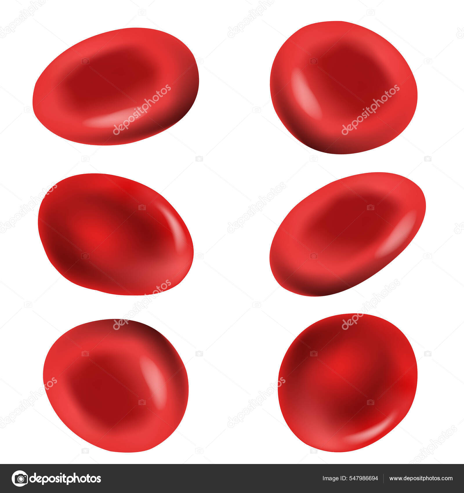 Røde blodceller med hvit bakgrunn stockvektor © sammep #547986694, image size:1600x1700