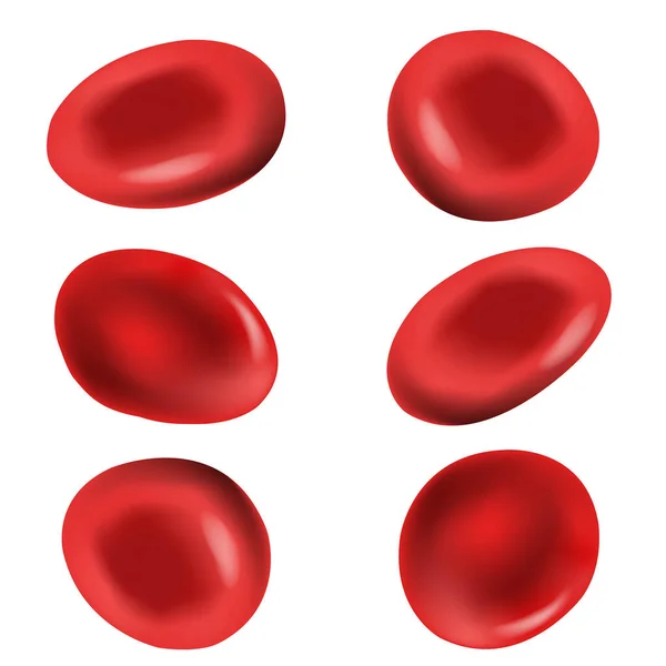 Red Blood Cells With White Background Royalty Free Stock Vectors