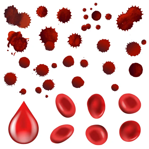 Collection Blood Drop And Cells — Stock Vector