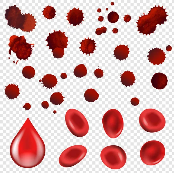Collection Blood Drop And Cells — Stock Vector