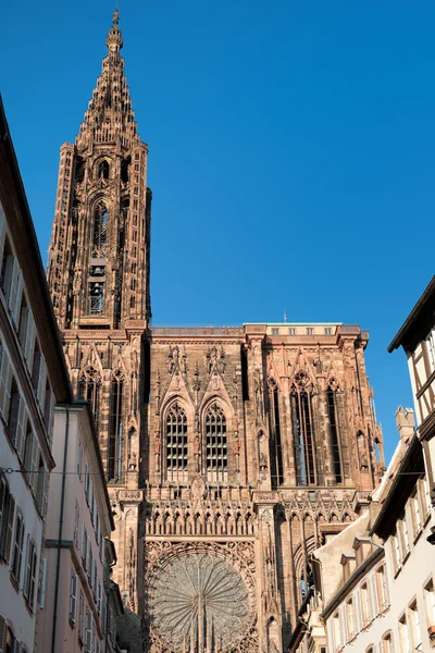 Katedralen i strasbourg — Stockfoto