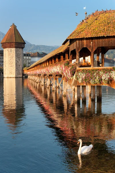 Morning Chapel Bridge in Luzern — Stock Photo, Image
