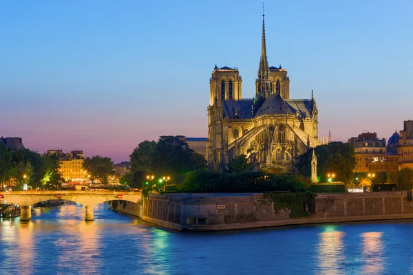 Notre Dame de Paris de noche — Foto de Stock