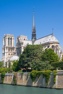Notre dame de Paris