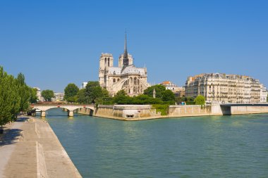 Notre dame de paris s güneşli günde
