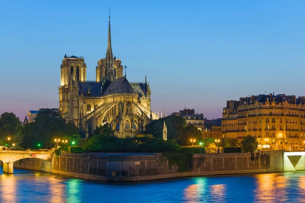 Notre dame de paris i sommarnatten — Stockfoto