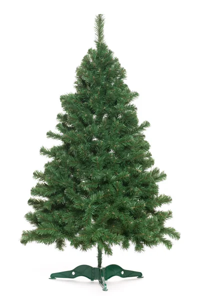 Undecorated Christmas tree — Stock Photo, Image