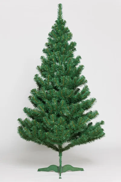 Christmas tree undecorated — Stock Photo, Image