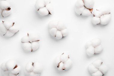 Beyaz arkaplanda pamuk deseni