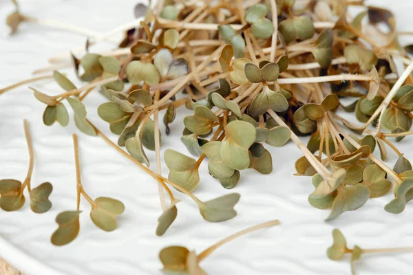 Fresh Microgreens Sprouts Broccoli Microgreens White Plate Healthy Food — Stock Fotó