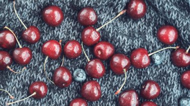 Koyu mavi bir battaniyeye dağılmış kırmızı kirazlar. Yukarıdan görüntüle.