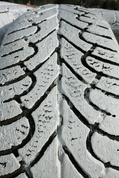 Tire painted — Stock Photo, Image