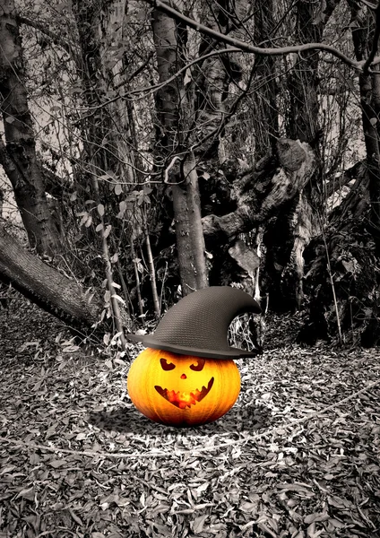 Halloween bakgrund med pumpor och träd — Stockfoto