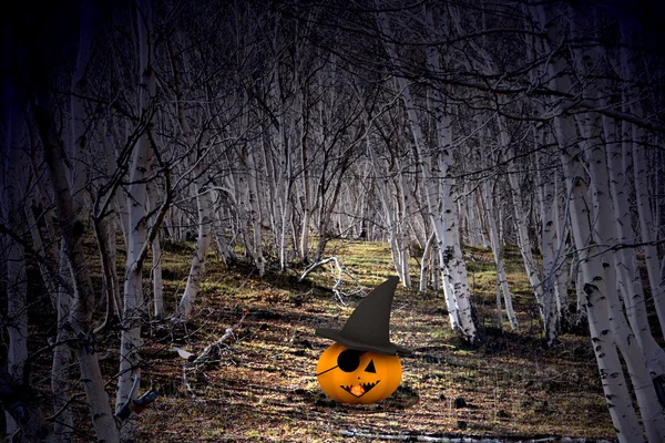 Хеллоуїн фон з гарбузами і деревами — стокове фото