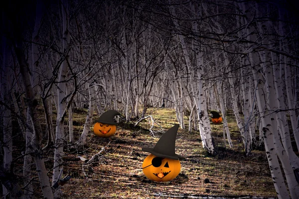Halloween background with pumpkins and trees — Stock Photo, Image