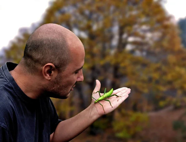 Uomo in possesso di un insetto verde — Foto Stock