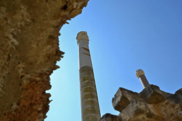 迦太基-依然的古代水疗中心 — 图库照片