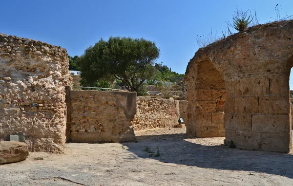 Kartaca - antik kaplıca kalıntısı — Stok fotoğraf